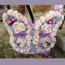 Papillon OASIS® BIOLINE® fleurie en fleurs fraiches pastel