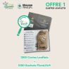 Offre 1 AFDF Cartes Leaflets