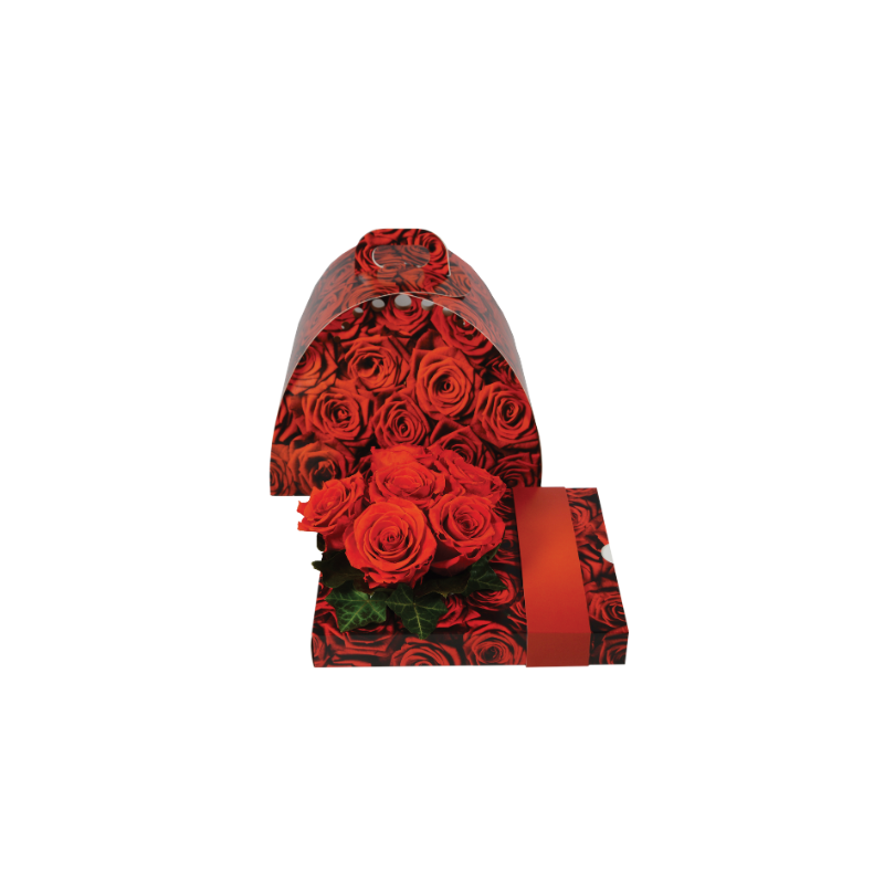 Floxi OASIS®  roses rouge