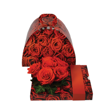 Floxi OASIS®  roses rouge